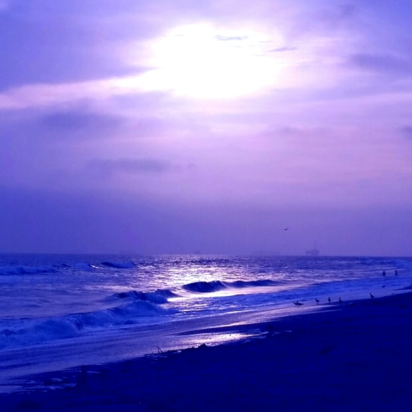 PurpleRose69 - Picture 1 of 1